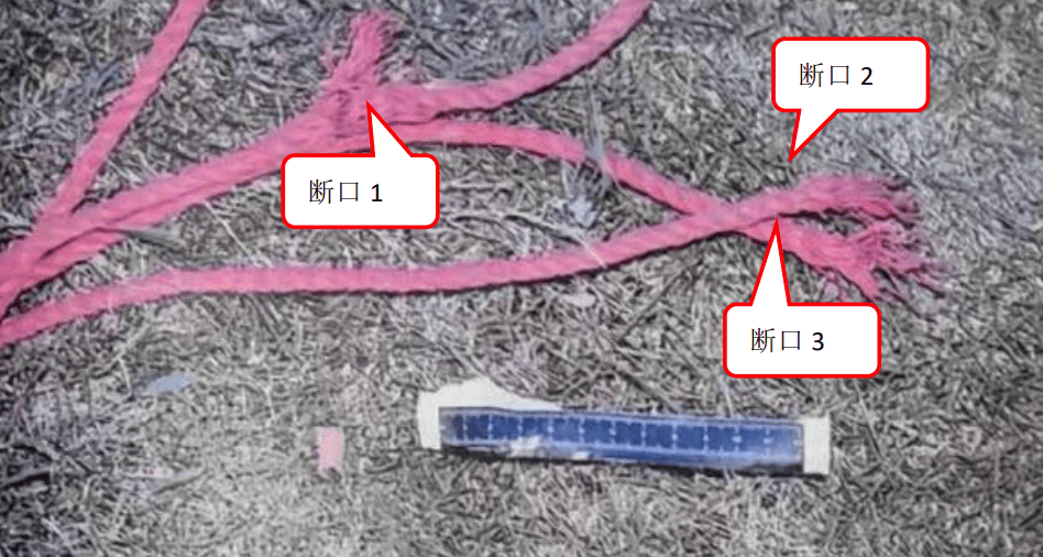 皇冠信用网开户_安全绳被切断1人坠亡皇冠信用网开户!深圳光明公布一事故调查报告