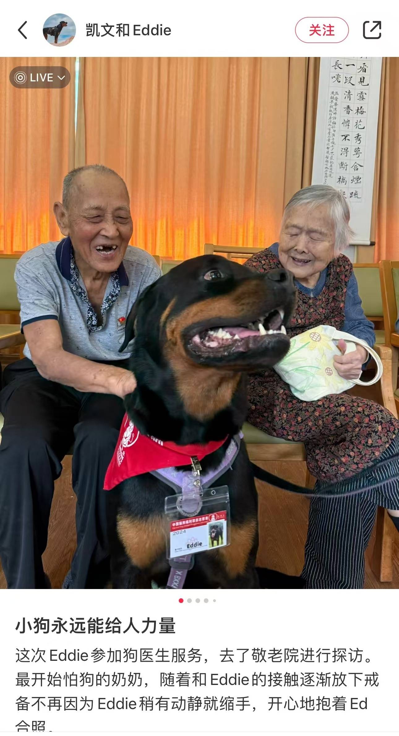 皇冠足球平台代理_广州佛山两地多只宠物被毒身亡皇冠足球平台代理,省宠协称正收集情况,执法部门呼吁尽快报警并留证