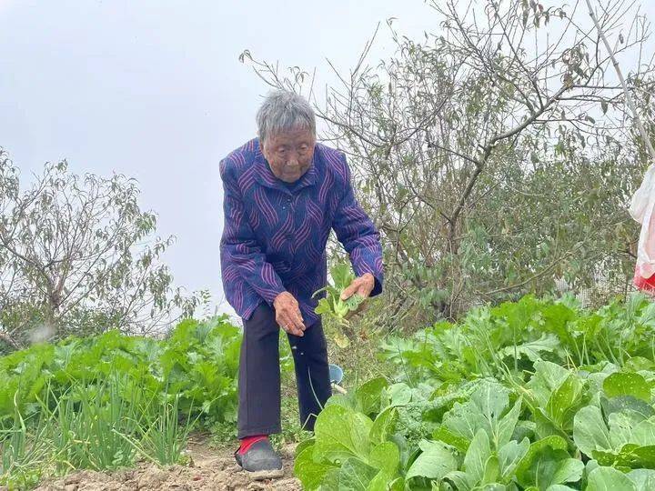 皇冠信用网代理_合肥这对夫妻皇冠信用网代理,年龄加起来204岁!长寿秘诀公开