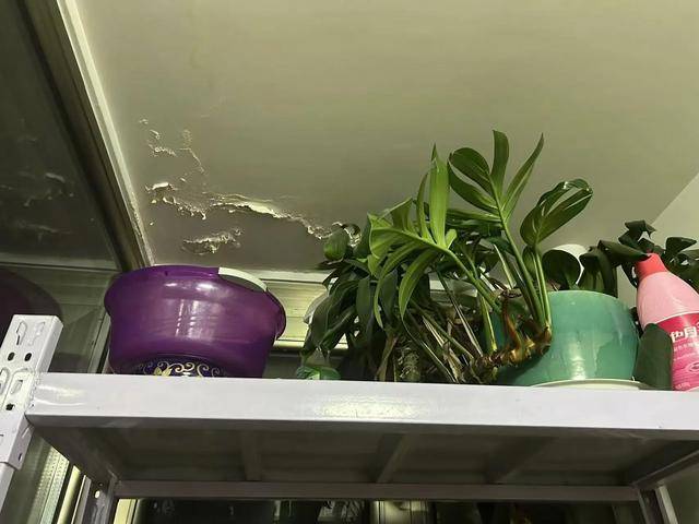 介绍个信用网网址_海淀一居民阳台屋顶频繁漏水介绍个信用网网址,竟是楼上把阳台改成了卫生间
