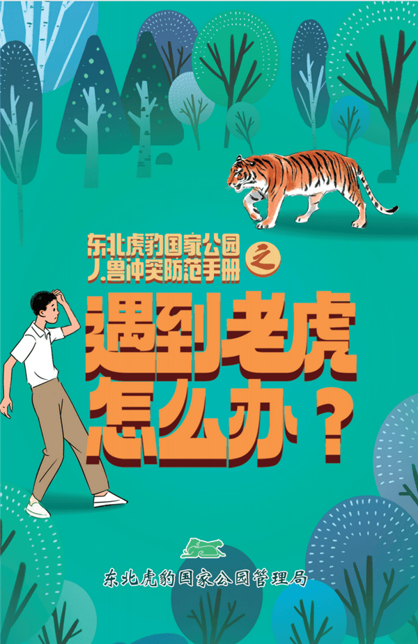皇冠足球平台在哪里注册_东北虎豹国家公园管理局:若确为野生东北虎肇事皇冠足球平台在哪里注册,将理赔、垫付医疗费