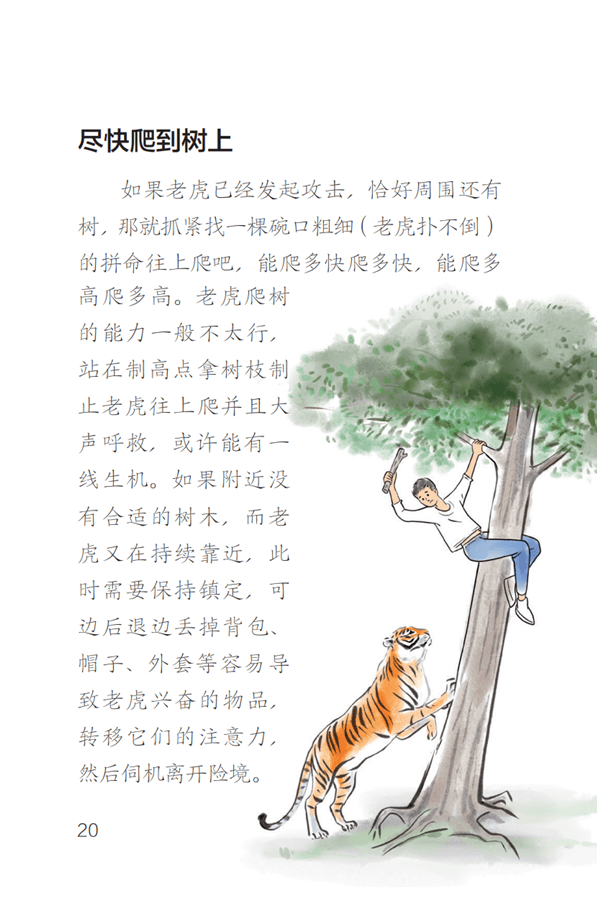 皇冠足球平台在哪里注册_东北虎豹国家公园管理局:若确为野生东北虎肇事皇冠足球平台在哪里注册,将理赔、垫付医疗费