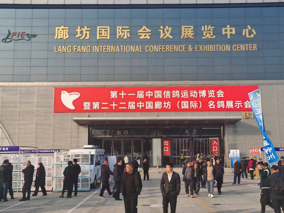 怎么注册皇冠信用盘_第十一届中国信鸽运动博览会暨第二十二届中国廊坊(国际)名鸽展示会盛大举行