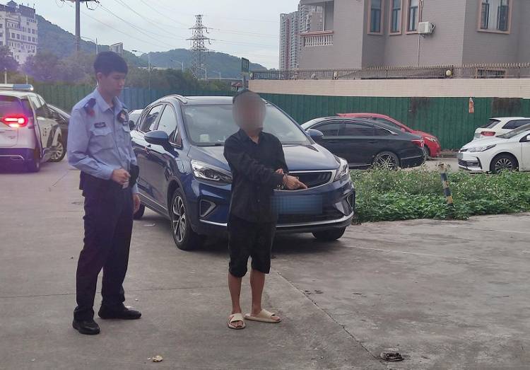 皇冠信用网出租代理_抓获12人皇冠信用网出租代理!广东惠州公安连破4起“拉车门”盗窃案