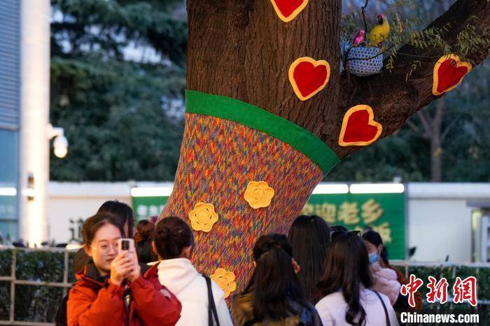 怎么申请皇冠信用網_北京:民众排队打卡胡同里的“毛衣树”