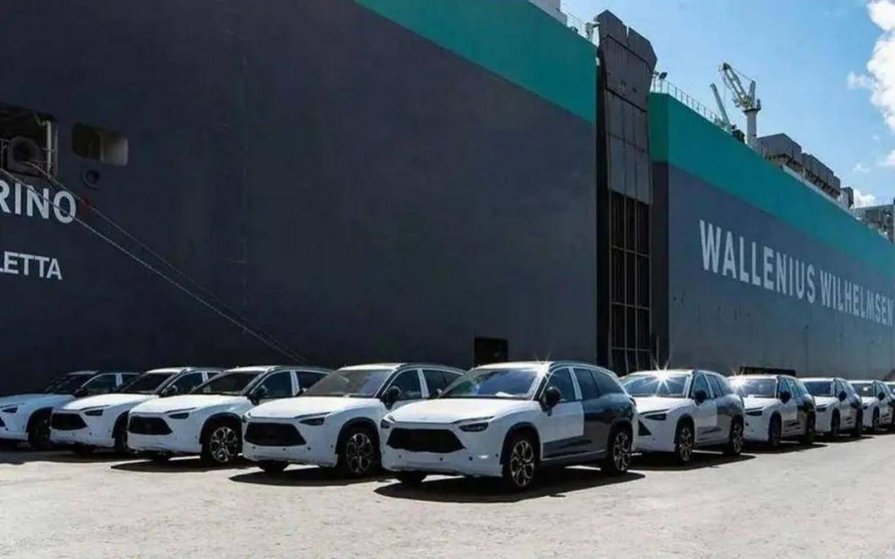 怎么申请皇冠信用盘_看谁再敢动中国一下!朔尔茨带领17国力挺中方怎么申请皇冠信用盘,欧盟内部四分五裂