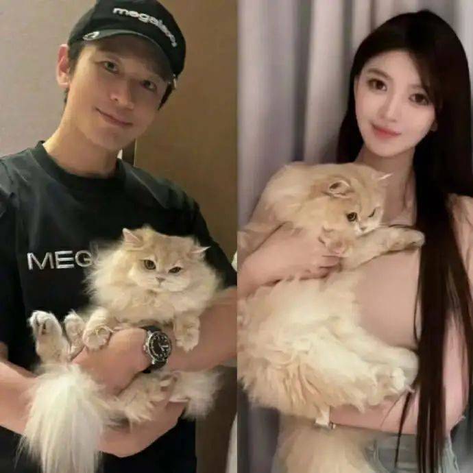 皇冠信用网注册_叶珂被曝和黄晓明分手前情绪激动皇冠信用网注册,临时住院保胎,现已平安出院