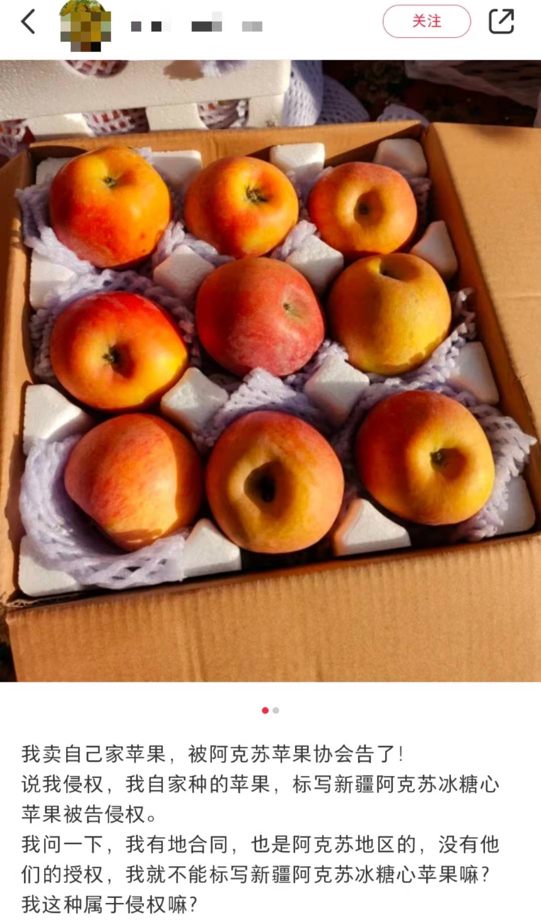 皇冠登3新2管理_卖自家苹果标注“阿克苏”被起诉皇冠登3新2管理,阿克苏地区苹果协会:可提供证据证明原产地,每年会遇到三四千起侵权纠纷