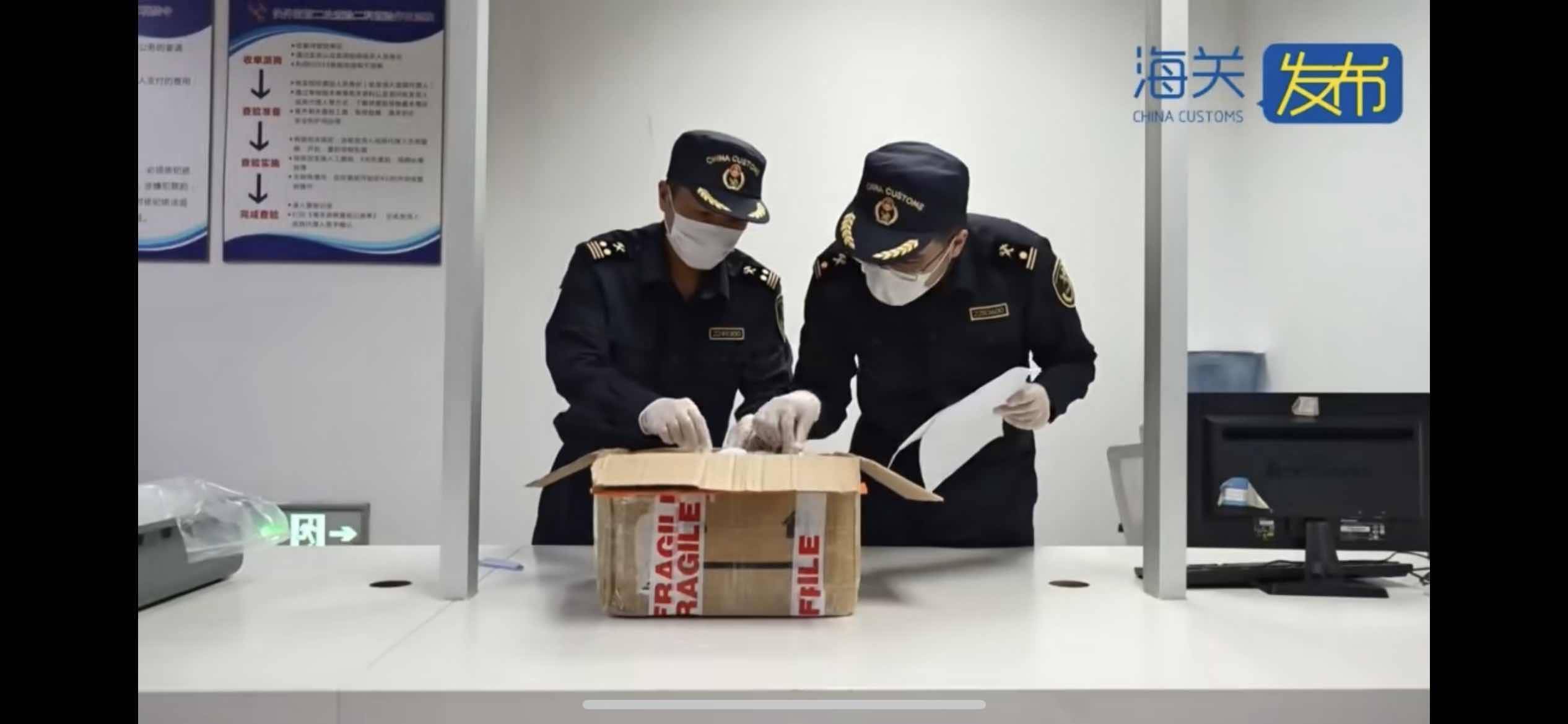 皇冠信用网会员账号_生性凶猛集体作战繁殖能力强皇冠信用网会员账号,979只野蛮收获蚁入境被海关查获