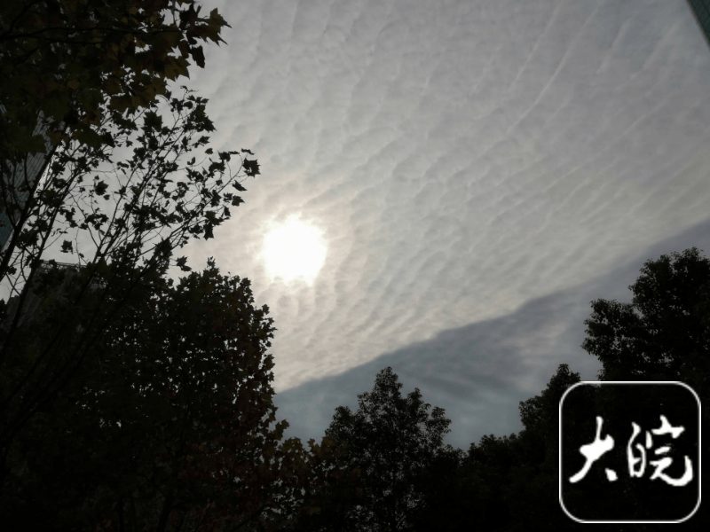 皇冠信用网代理注册_今天皇冠信用网代理注册,合肥天空现鱼鳞状云层,气象专家解读