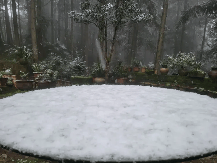 介绍个皇冠信用網网址_中心城区也下雪啦介绍个皇冠信用網网址!重庆明后天最低温仅-3℃