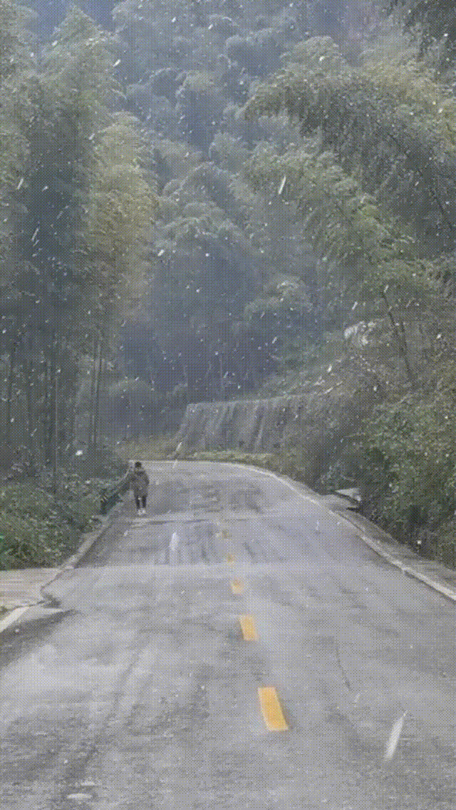 介绍个皇冠信用網网址_中心城区也下雪啦介绍个皇冠信用網网址!重庆明后天最低温仅-3℃