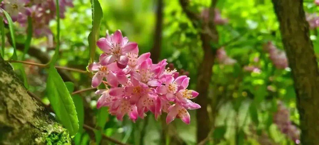 如何找当地皇冠代理_沪苏湖高铁开通在即如何找当地皇冠代理!原来沪苏湖高铁周边有这么多好看又好玩的地方