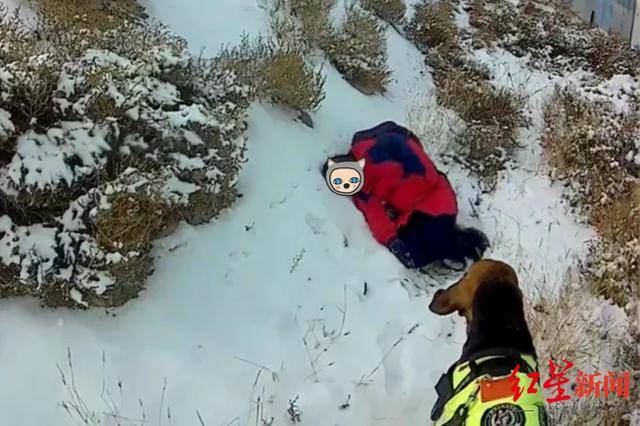皇冠信用网怎么申请_“汪汪队立大功!”甘肃一男孩放学一夜未归 警犬在雪地找到他皇冠信用网怎么申请,现已脱险