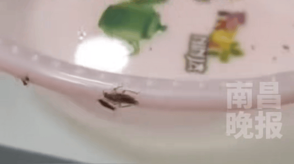 怎么开皇冠信用网_浙江一医院住院部的热水壶倒出来全是蟑螂怎么开皇冠信用网!医院回应