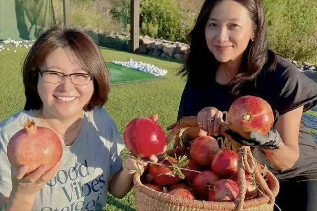 皇冠信用网登3_万万没想到皇冠信用网登3,“丁克”了半辈子的徐静蕾,如今却成了人生赢家