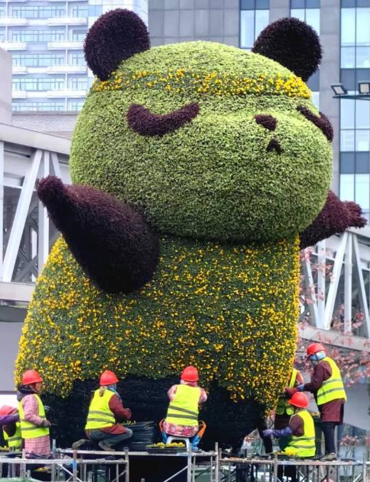 代理皇冠信用网_零下6℃!杭州代理皇冠信用网,明天更冷!但有个好消息...