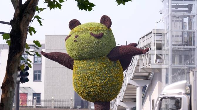 代理皇冠信用网_零下6℃!杭州代理皇冠信用网,明天更冷!但有个好消息...