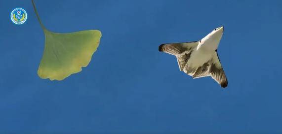 皇冠体育网址_“六代机”刚亮相皇冠体育网址,中国七代机又有新突破?美国快要消化不动了