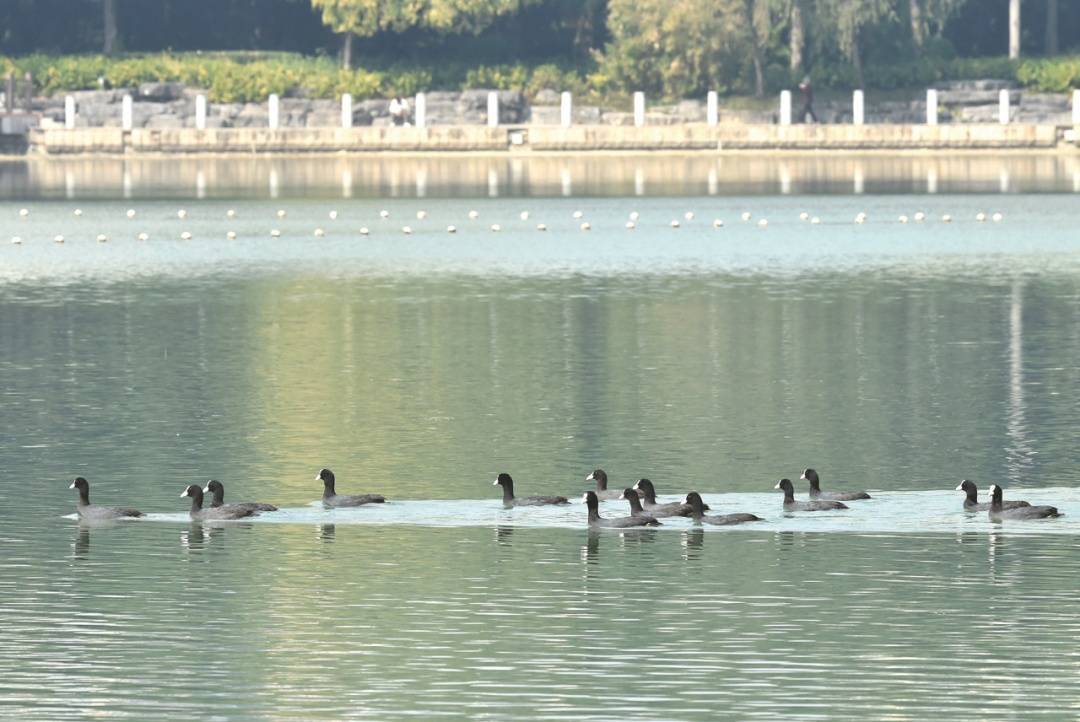 皇冠正网_冷空气即将抵达广西皇冠正网!还有降雨+大风