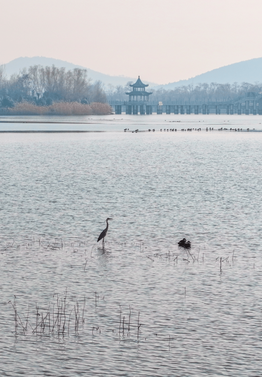 皇冠信用网代理_中到大雪皇冠信用网代理!江苏降雪预告升级 !徐州接下来……