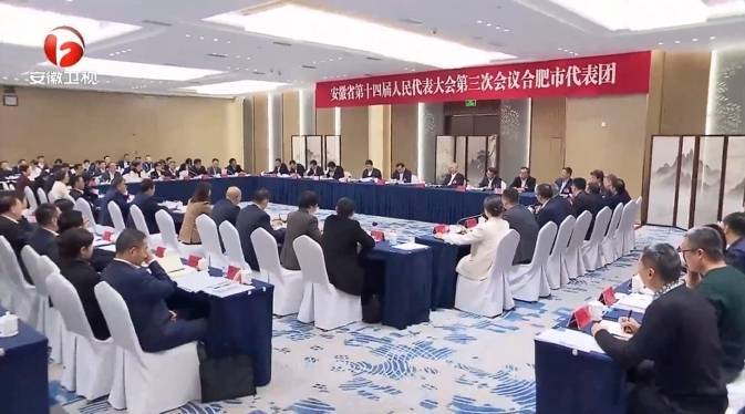 以色列-巴拉圭_安徽省委书记梁言顺参加合肥市代表团审议以色列-巴拉圭,省领导单向前出席