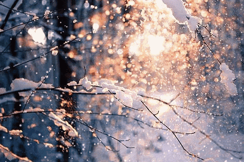 皇冠信用网平台_天津雪情有变皇冠信用网平台!