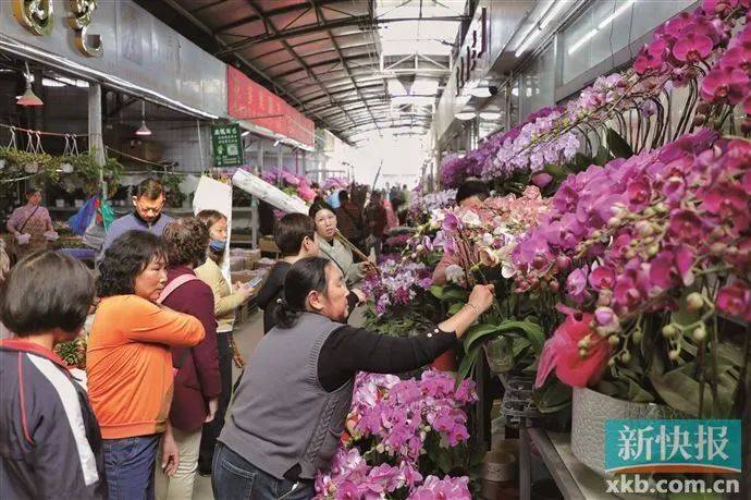 奥林匹克运动会_太火了奥林匹克运动会!广州有商家一天卖出平时一个月的花
