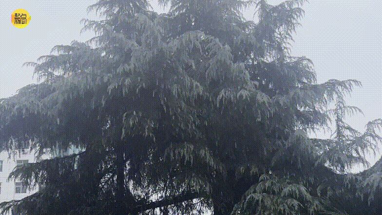 皇冠信用网申请_陕西本轮雨雪何时结束?最新消息皇冠信用网申请!西安……