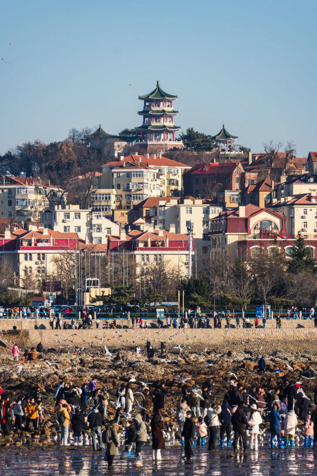 巴黎奥运会开幕式_青岛鱼山路巴黎奥运会开幕式,一位大名人为了吃一顿烤羊肉…也是拼了!从北京买的工具,从潍县买的大葱!网友:不光会写,还这么会吃啊
