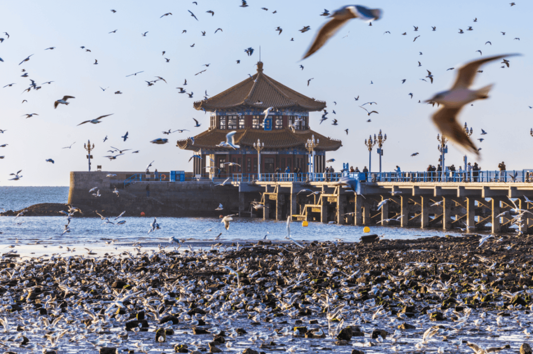 巴黎奥运会开幕式_青岛鱼山路巴黎奥运会开幕式,一位大名人为了吃一顿烤羊肉…也是拼了!从北京买的工具,从潍县买的大葱!网友:不光会写,还这么会吃啊