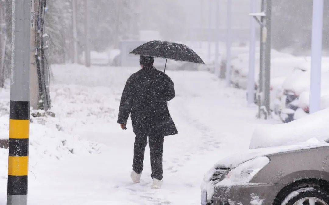 德国-澳大利亚_刚刚德国-澳大利亚,沈阳发布大雪黄色预警!启动城市除雪二级(暴雪)橙色预警!