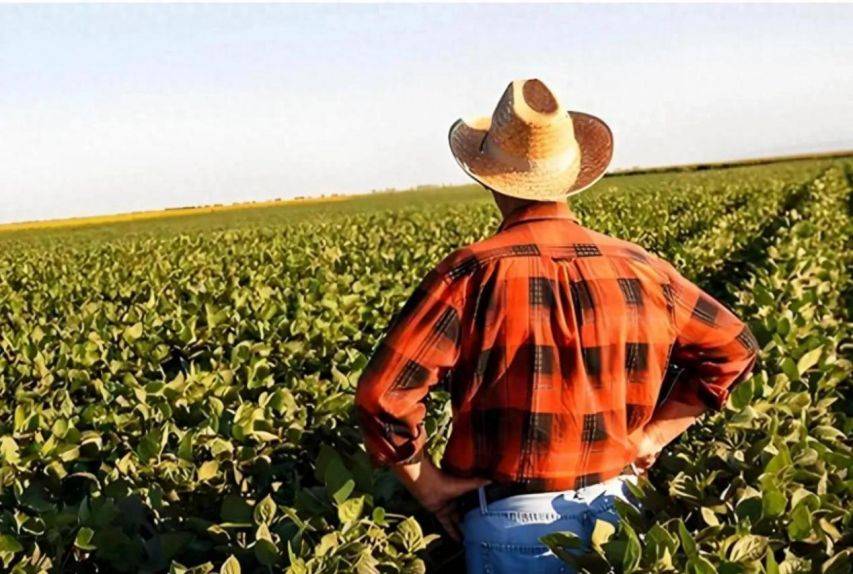 皇冠信用网代理_中方反制立竿见影皇冠信用网代理,24小时不到,美国开始喊疼,美民众彻底怒了