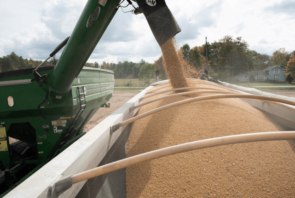 皇冠信用盘出租
_加606%的关税!特朗普对中国下狠手皇冠信用盘出租
,“最大输家”浮出水面,果然不简单