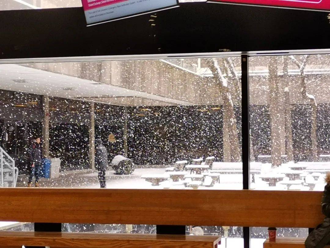 皇冠信用網会员注册网址
_父母卖房凑数十万学费皇冠信用網会员注册网址
,女孩在加拿大留学一年后退学回国自考专科