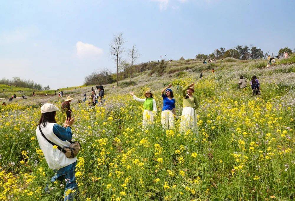 皇冠信用網怎么开账号
_“气温过山车”!明天重庆最高33℃皇冠信用網怎么开账号
,后天雷雨+大风