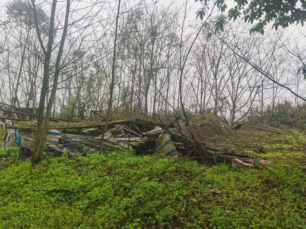 皇冠信用平台出租出售
_街道办违法强拆120亩鱼塘皇冠信用平台出租出售
,致37万斤鱼损失被判赔380万,回应称无赔付能力可法拍资产抵债