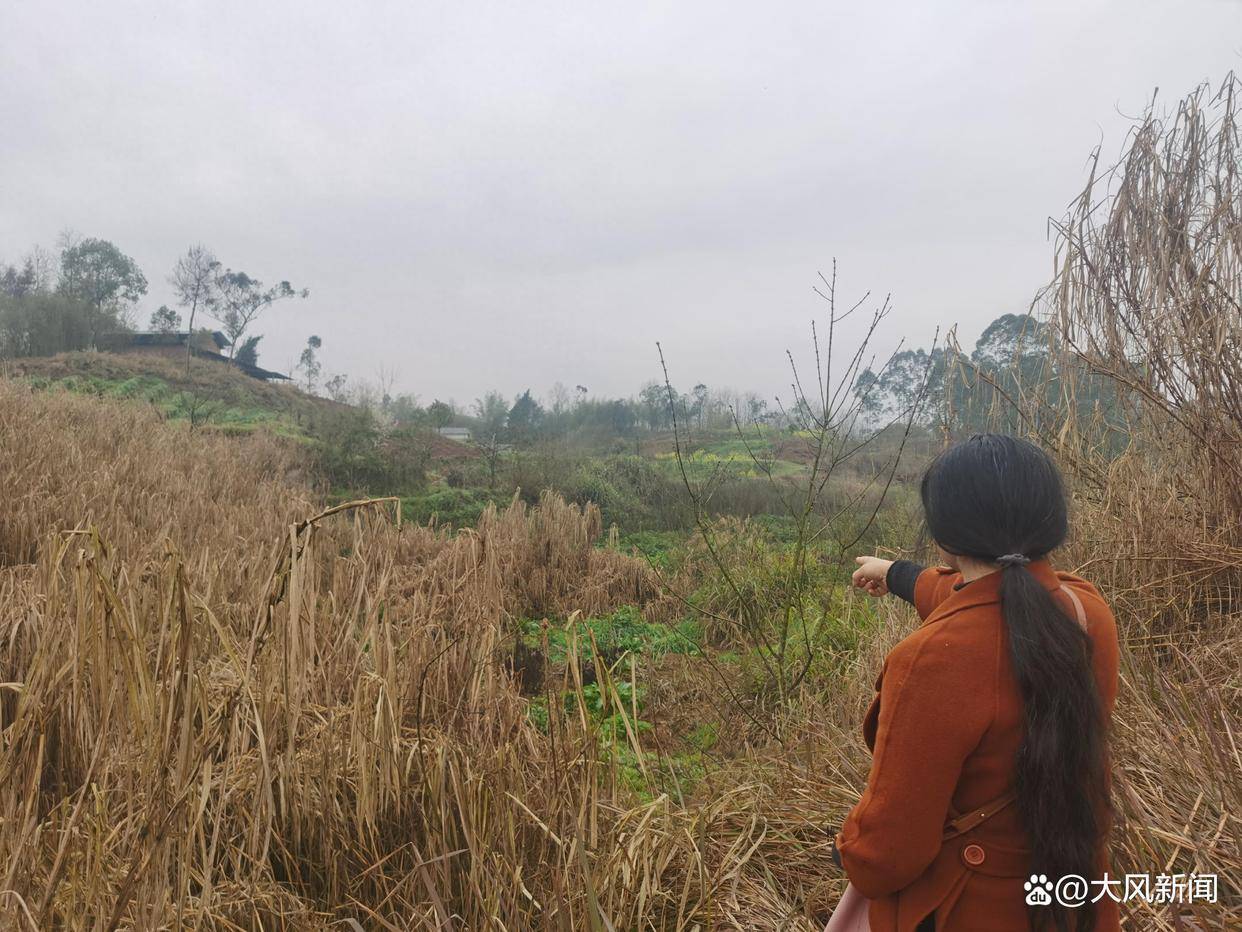 皇冠信用网
_违法强拆鱼塘被判赔380万皇冠信用网
，报道后街道办同意先支付30%再变卖资产抵债