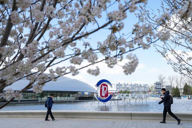 皇冠信用网会员申请
_新华视点|中关村论坛年会看新质生产力