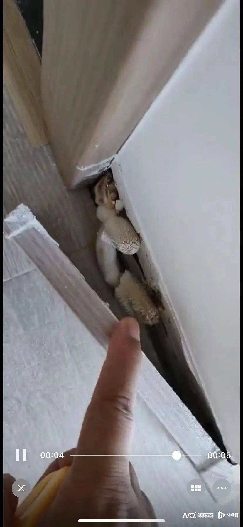 NBA篮球赛事
_“深更半夜NBA篮球赛事
,又掉一大块下来”!广东一小区业主怒了