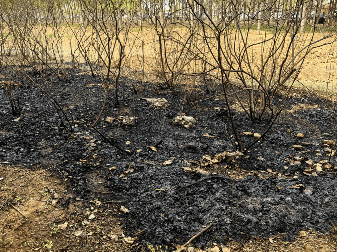 奇幻赛事
_手太欠!北京警方:林某某(18岁)奇幻赛事
,拘