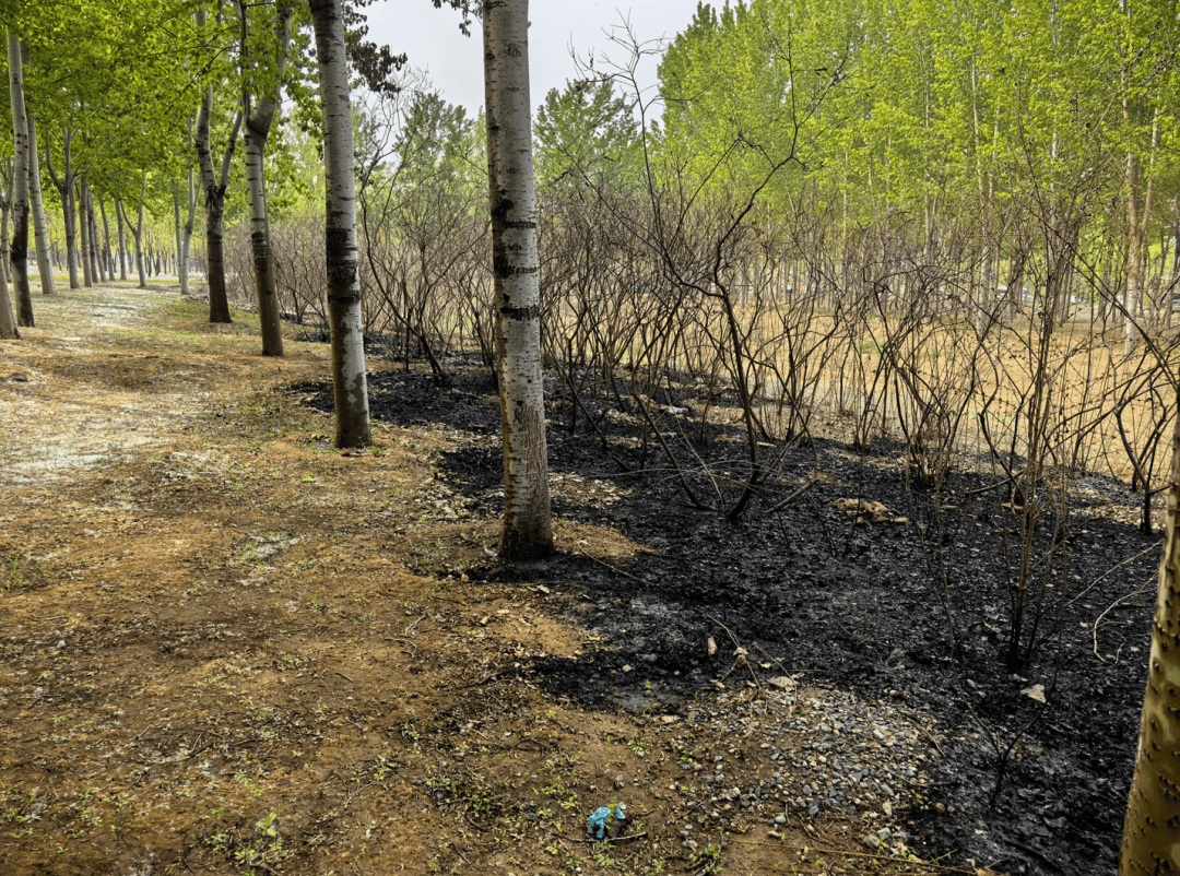 奇幻赛事
_手太欠!北京警方:林某某(18岁)奇幻赛事
,拘