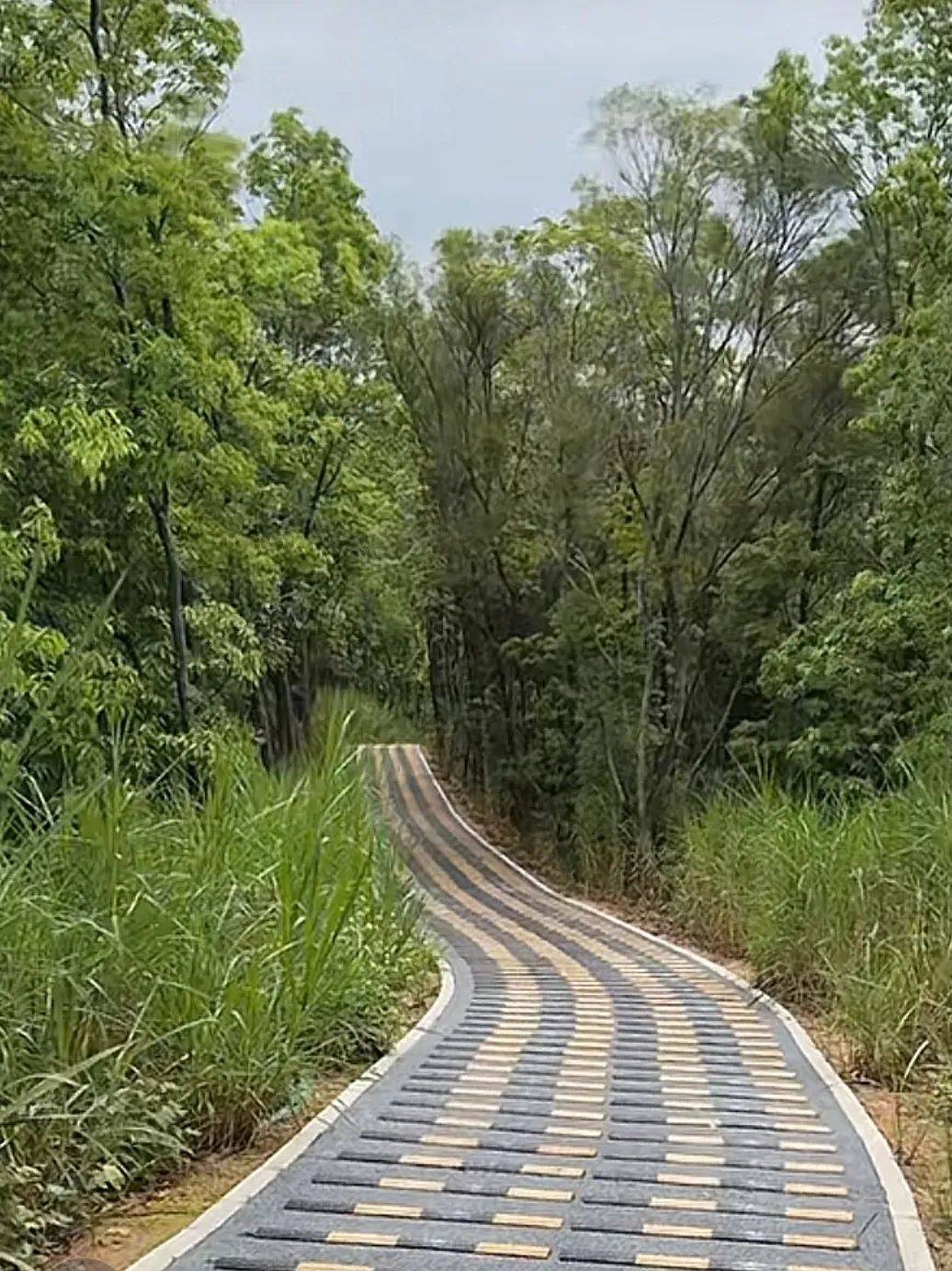 皇冠信用盘开户
_深圳一绿道现“搓衣板式”减速带皇冠信用盘开户
，网友直呼“反人类”，官方回应