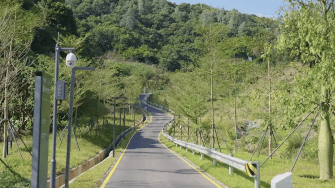 皇冠信用盘开户
_深圳一绿道现“搓衣板式”减速带皇冠信用盘开户
，网友直呼“反人类”，官方回应