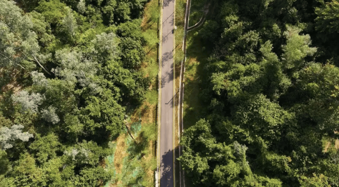 皇冠信用盘开户
_深圳一绿道现“搓衣板式”减速带皇冠信用盘开户
，网友直呼“反人类”，官方回应