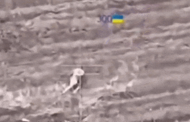 皇冠登2代理_数十名俄军吞枪自杀皇冠登2代理，多名女兵被炸死！用枪爆头会有痛苦吗？