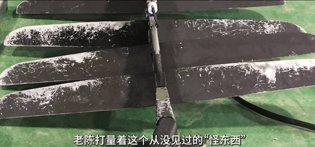 信用平台出租
_中国渔民捞到“谍鱼”反手举报信用平台出租
！间谍关系网被挖出