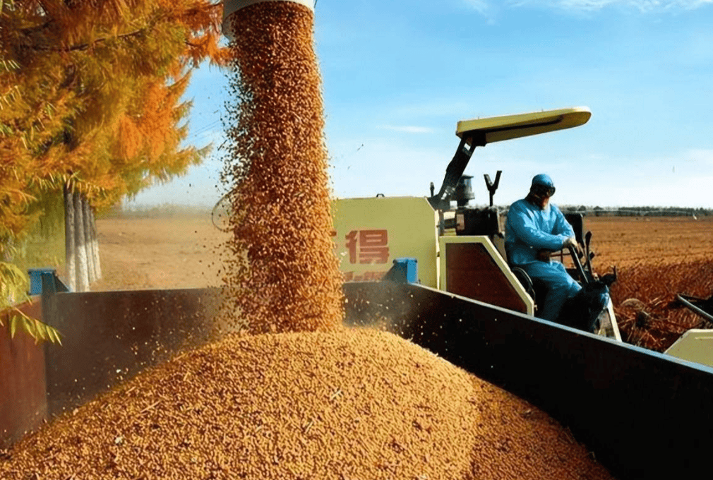 介绍个信用網网址
_对华出口下降70%!特朗普大打出手介绍个信用網网址
,没想到第一个倒下的竟是自己人