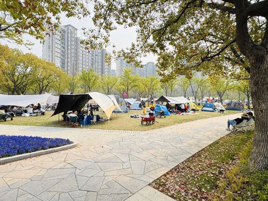 皇冠信用盘代理申请
_事发上海!有人被割伤皇冠信用盘代理申请
,密密麻麻!世博文化公园5月1日起禁止