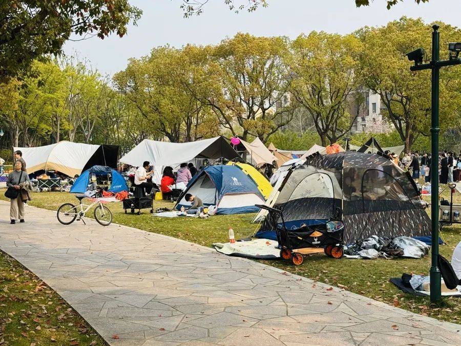 皇冠信用盘代理申请
_事发上海!有人被割伤皇冠信用盘代理申请
,密密麻麻!世博文化公园5月1日起禁止